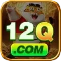 12q Pro Casino App